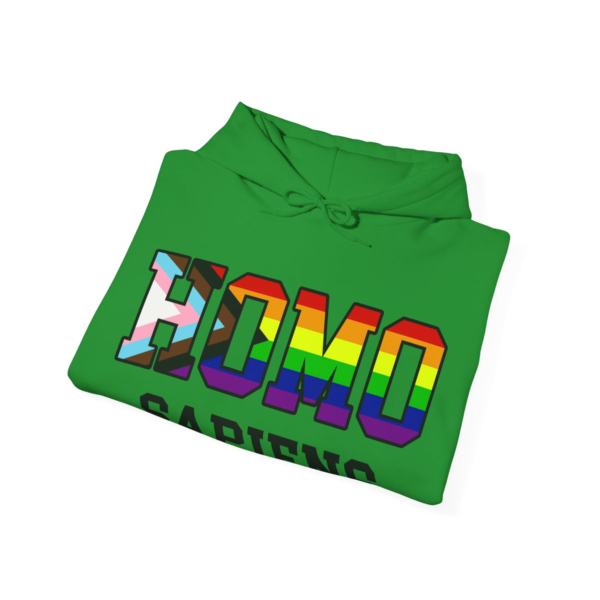 HOMO SAPIENS LGBTQ Pride Unisex Heavy Blend Hooded Sweatshirt