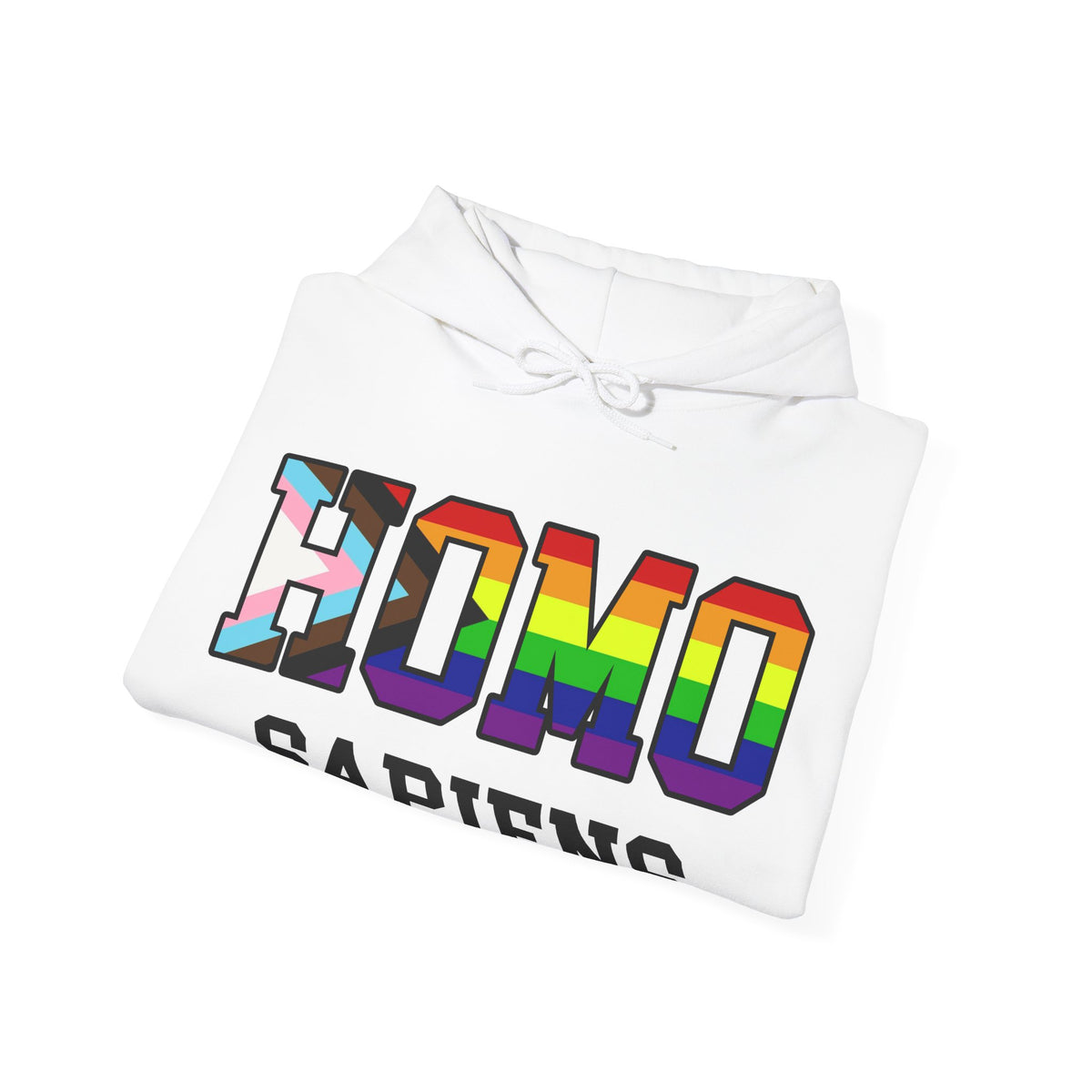 HOMO SAPIENS LGBTQ Pride Unisex Heavy Blend Hooded Sweatshirt