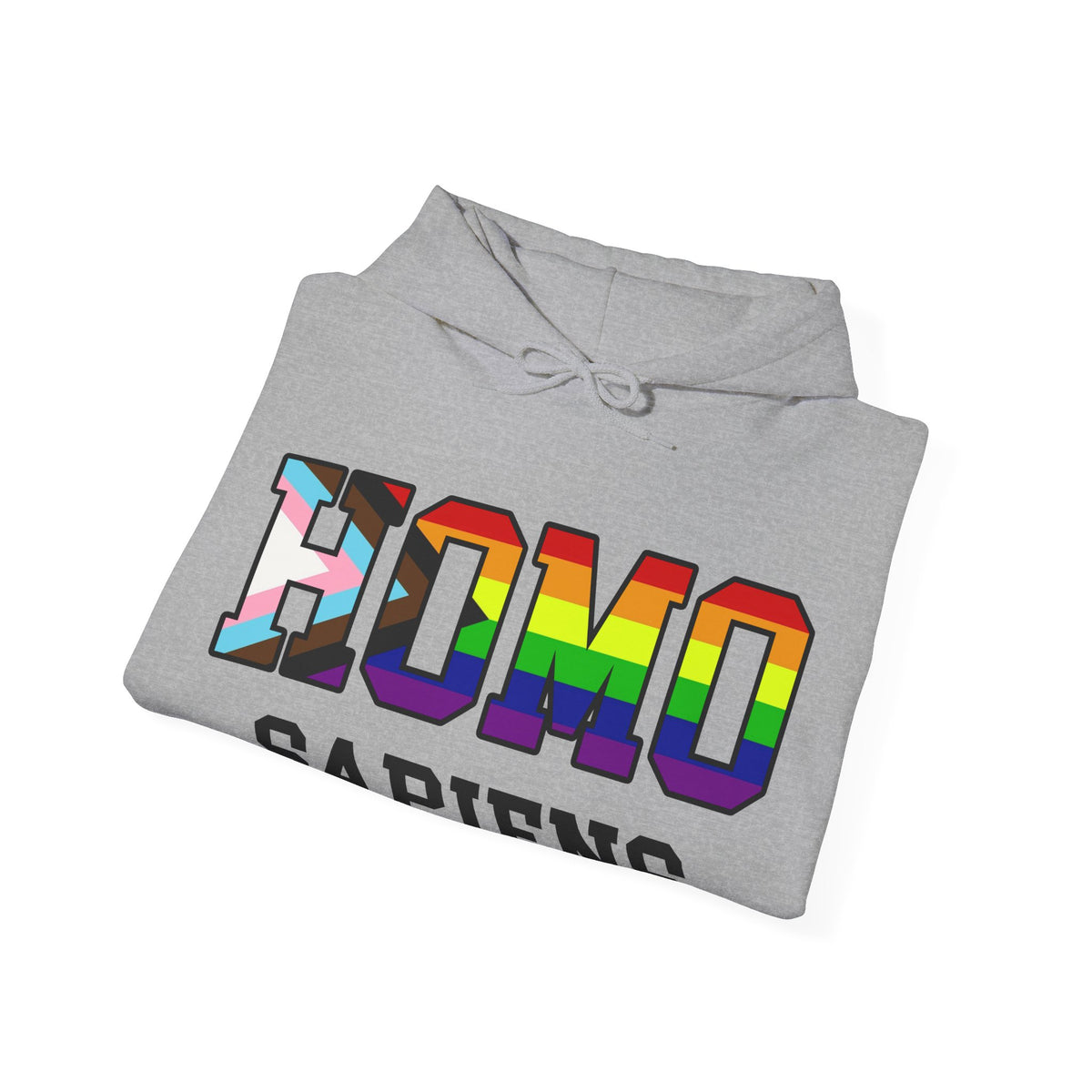 HOMO SAPIENS LGBTQ Pride Unisex Heavy Blend Hooded Sweatshirt