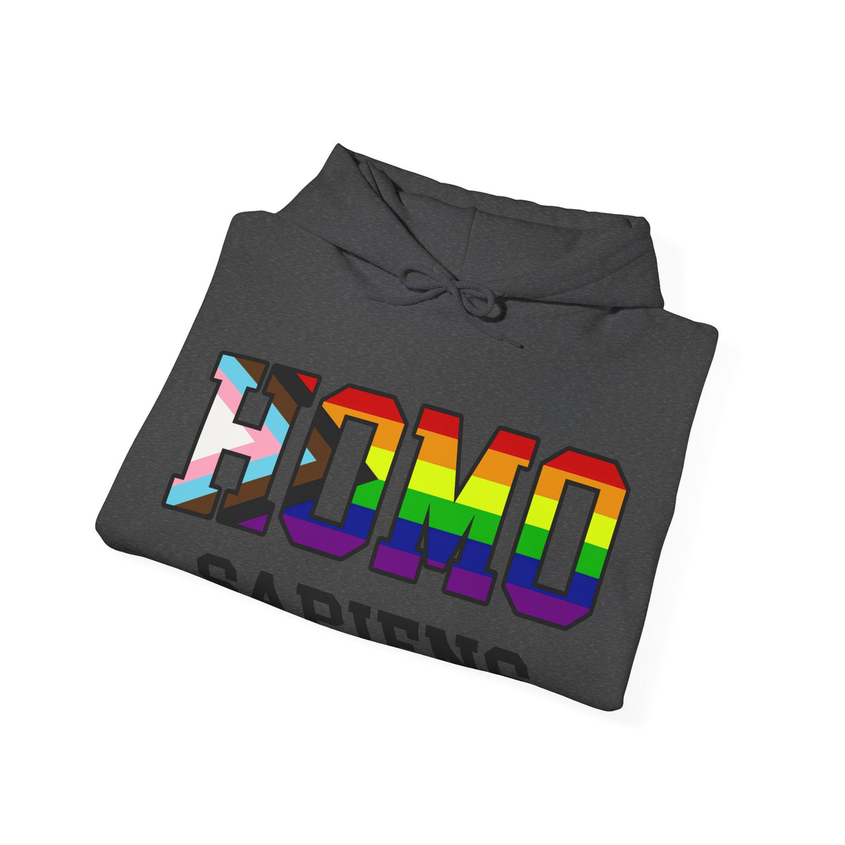 HOMO SAPIENS LGBTQ Pride Unisex Heavy Blend Hooded Sweatshirt
