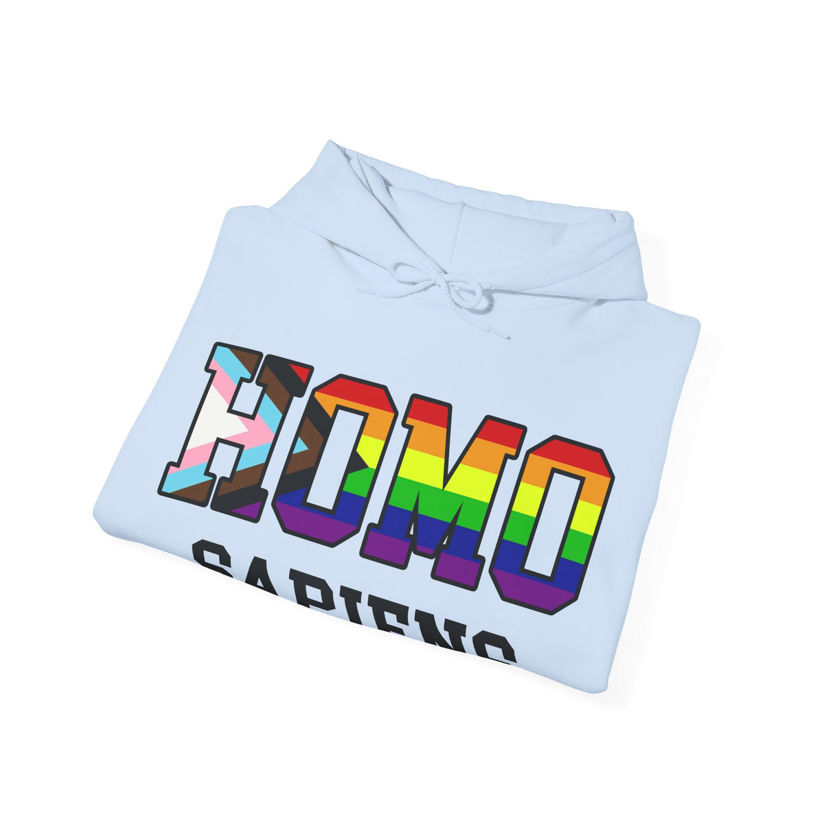HOMO SAPIENS LGBTQ Pride Unisex Heavy Blend Hooded Sweatshirt